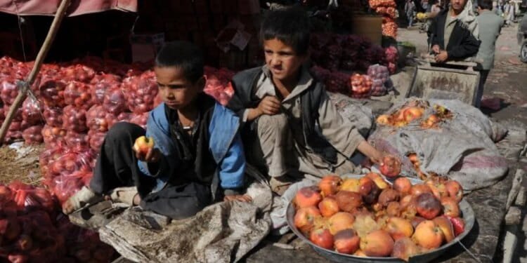 What Afghanistan’s rotten apples tell us about its non-profit sector