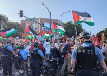 What is Project Esther, the playbook against pro-Palestine movement in US?