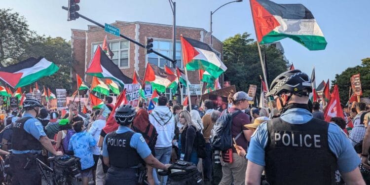 What is Project Esther, the playbook against pro-Palestine movement in US? 1 What is Project Esther, the playbook against pro-Palestine movement in US?