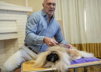 What makes a dog a winner? A Westminster Kennel Club judge explains