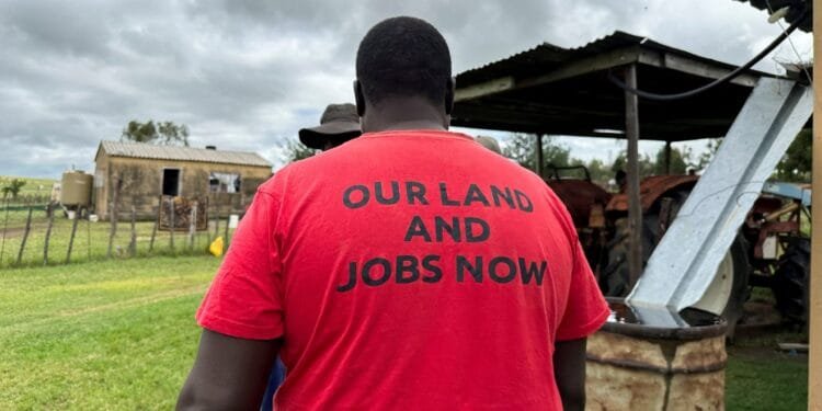 White victimhood to G20: What’s behind Trump’s attacks on South Africa?