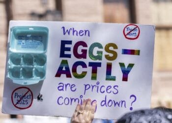 Why should America worry about Trump? Try the price of eggs, say some Democrats