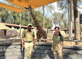 Wild animals deserve respect, say zookeepers