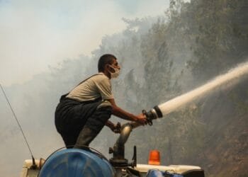 Wildfires erupt across Mediterranean as heatwave worsens