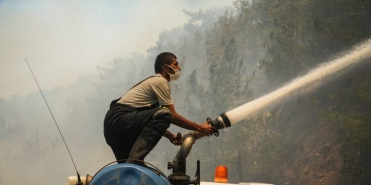 Wildfires erupt across Mediterranean as heatwave worsens