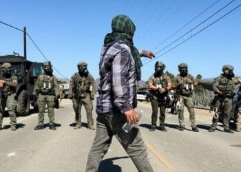 Worker dies following immigration raids on California cannabis farms