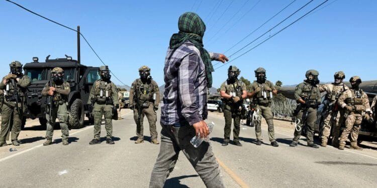 Worker dies following immigration raids on California cannabis farms