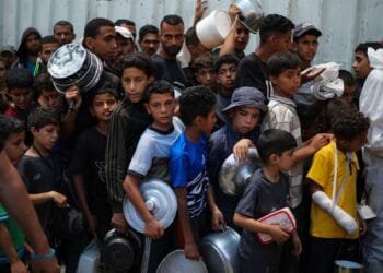 World reacts as UN-backed body declares famine in Gaza