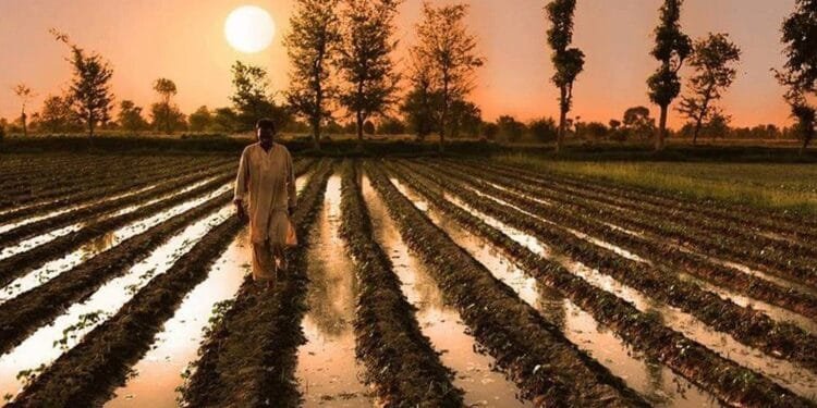 Pakistan Turning Farmlands into Digital Powerhouses 1 Pakistan Turning Farmlands into Digital Powerhouses
