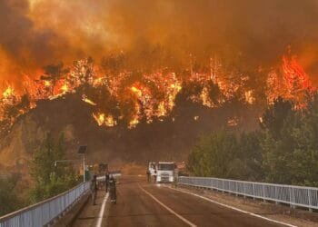 ‘Apocalypse’: Turkiye wildfires reach key northwest city as hundreds flee
