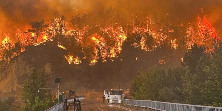 ‘Apocalypse’: Turkiye wildfires reach key northwest city as hundreds flee