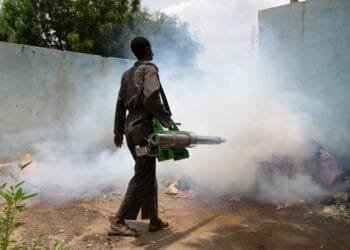 ‘Corpses rotting in the Nile’ as cholera tears through Sudan