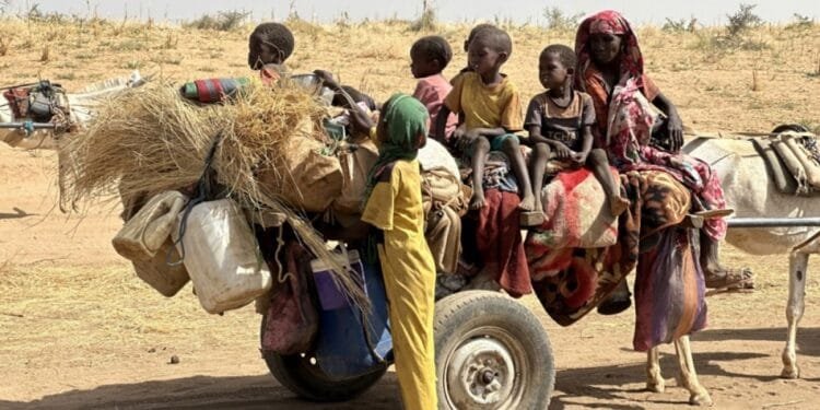 ‘Crimes against humanity’ in Sudan’s Darfur: ICC deputy prosecutor 1 ‘Crimes against humanity’ in Sudan’s Darfur: ICC deputy prosecutor