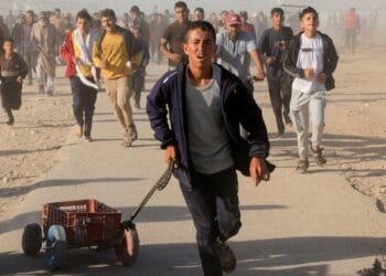 ‘Going hungry’: More than 700 Palestinians killed seeking aid in Gaza