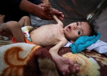 ‘Growing number’ of Britons view Israel’s actions in Gaza as genocide: Poll