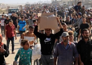 ‘Heinous crime’: Israel kills 10 desperate aid seekers in Gaza in 48 hours