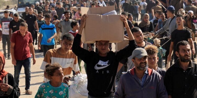 ‘Heinous crime’: Israel kills 10 desperate aid seekers in Gaza in 48 hours