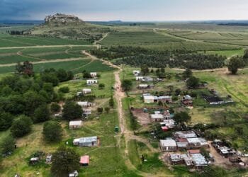 ‘No thanks’: White South Africans turn down Trump’s US immigration offer