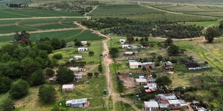 ‘No thanks’: White South Africans turn down Trump’s US immigration offer