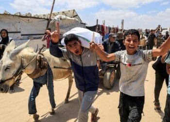 ‘Not aid, but humiliation’: A desperate search for food in Gaza