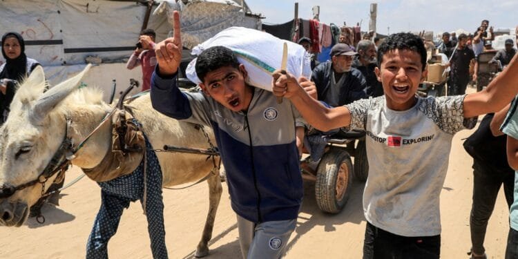 ‘Not aid, but humiliation’: A desperate search for food in Gaza