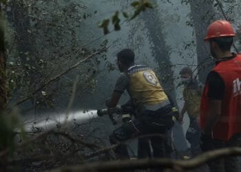 ‘We belong to this land’: Syrians navigate landmines to battle wildfires