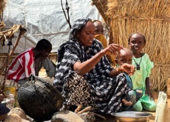 ‘We’re suffering’: People in Sudan’s el-Fasher eat animal fodder to survive