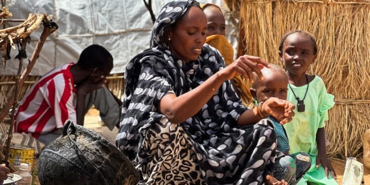 ‘We’re suffering’: People in Sudan’s el-Fasher eat animal fodder to survive